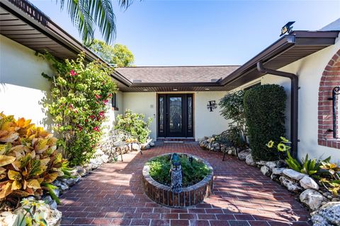 A home in PALM COAST