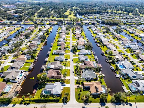 A home in PALM COAST