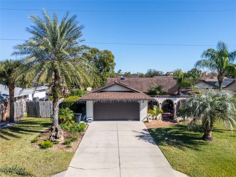 A home in PALM COAST