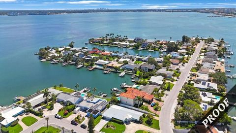 A home in ST PETE BEACH