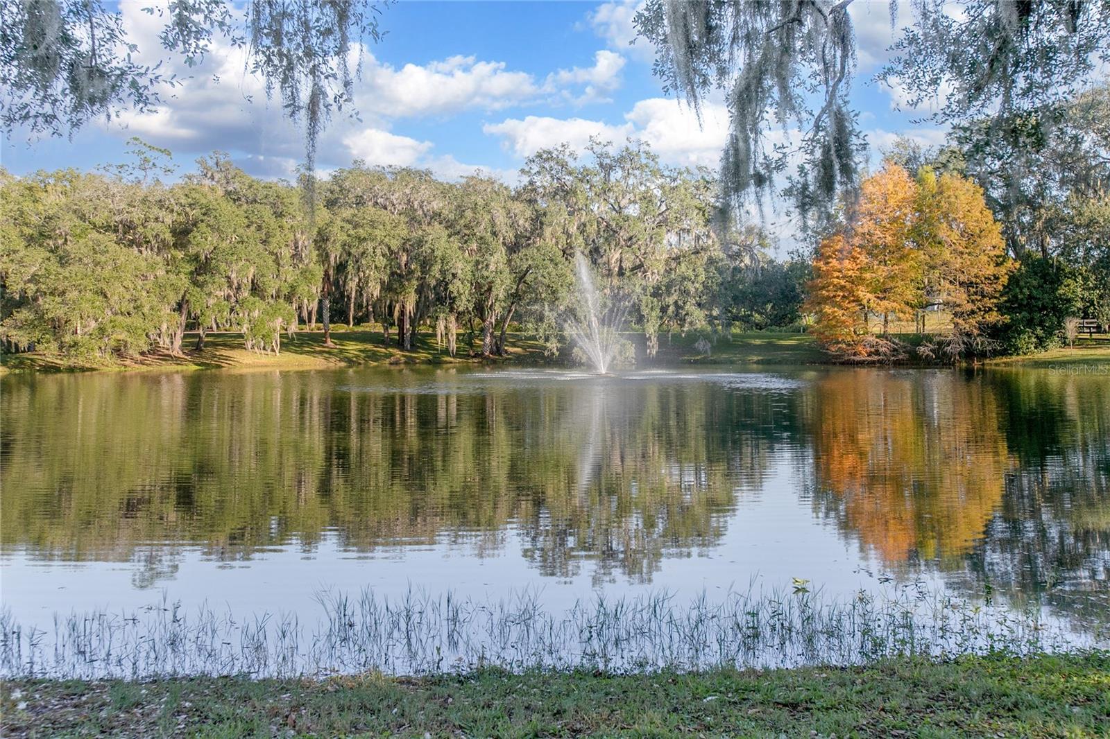 BRANDYWINE VILLAGE CONDO - Residential