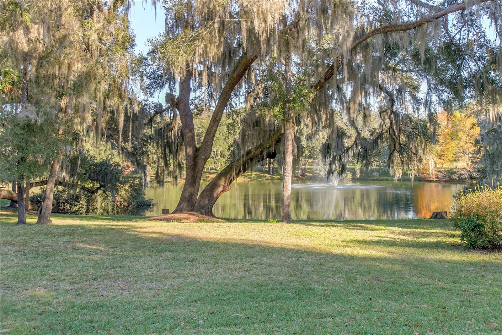 BRANDYWINE VILLAGE CONDO - Residential