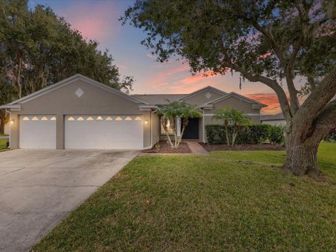 19719 SPRING WILLOW COURT ODESSA FL 33556