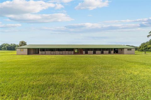 Photo of 17176 N Us Highway 441, Reddick, FL 32686 (MLS # OM713643)