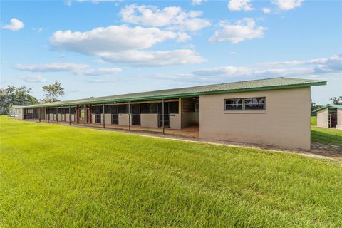 Tiny photo for 17176 N Us Highway 441, Reddick, FL 32686 (MLS # OM713643)