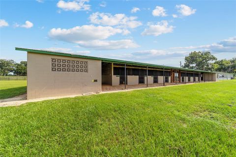 Tiny photo for 17176 N Us Highway 441, Reddick, FL 32686 (MLS # OM713643)