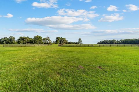 Tiny photo for 17176 N Us Highway 441, Reddick, FL 32686 (MLS # OM713643)