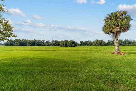 Tiny photo for 17176 N Us Highway 441, Reddick, FL 32686 (MLS # OM713643)