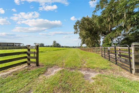 Tiny photo for 17176 N Us Highway 441, Reddick, FL 32686 (MLS # OM713643)