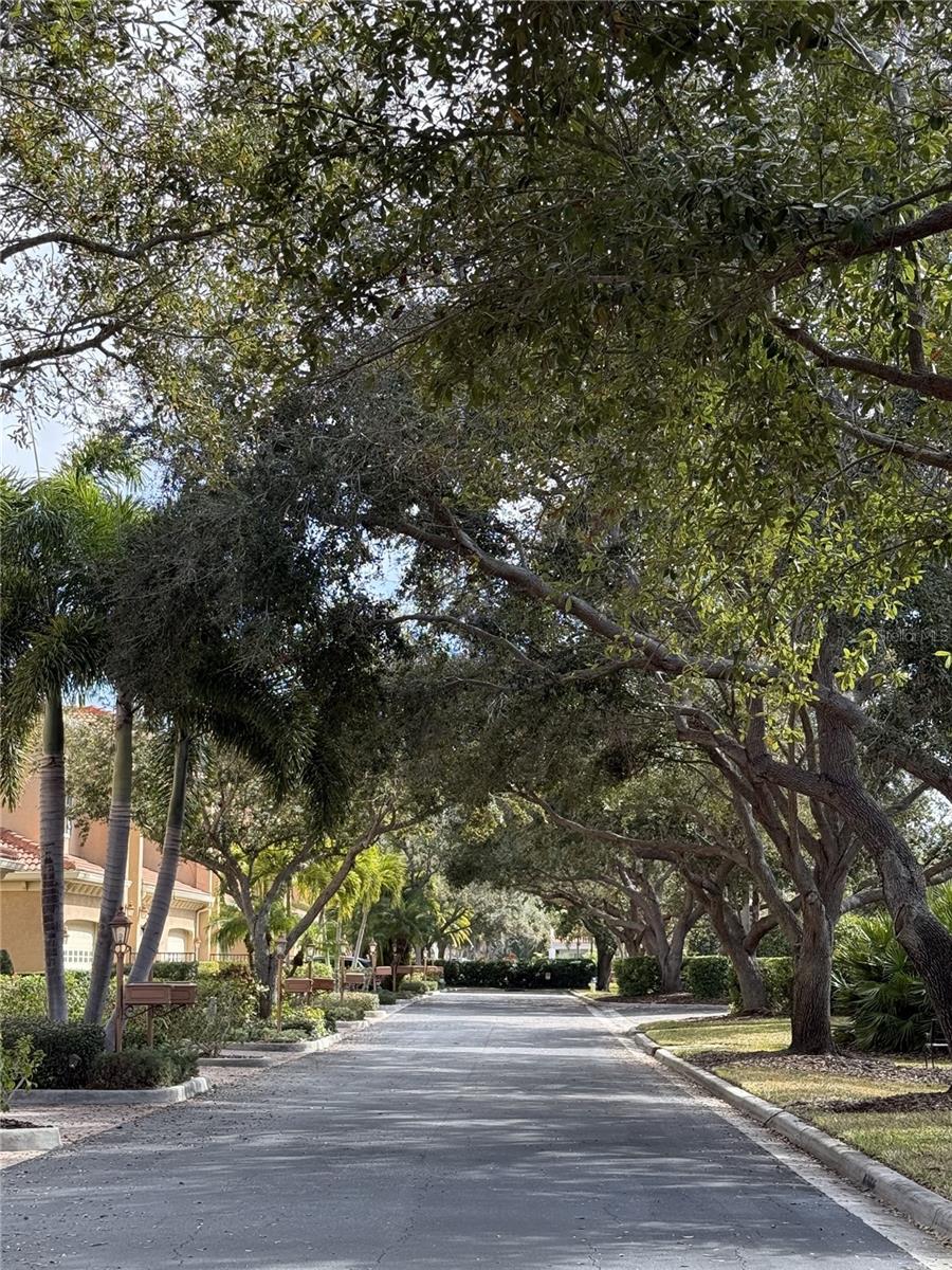 PALMER SQUARE WEST - Residential