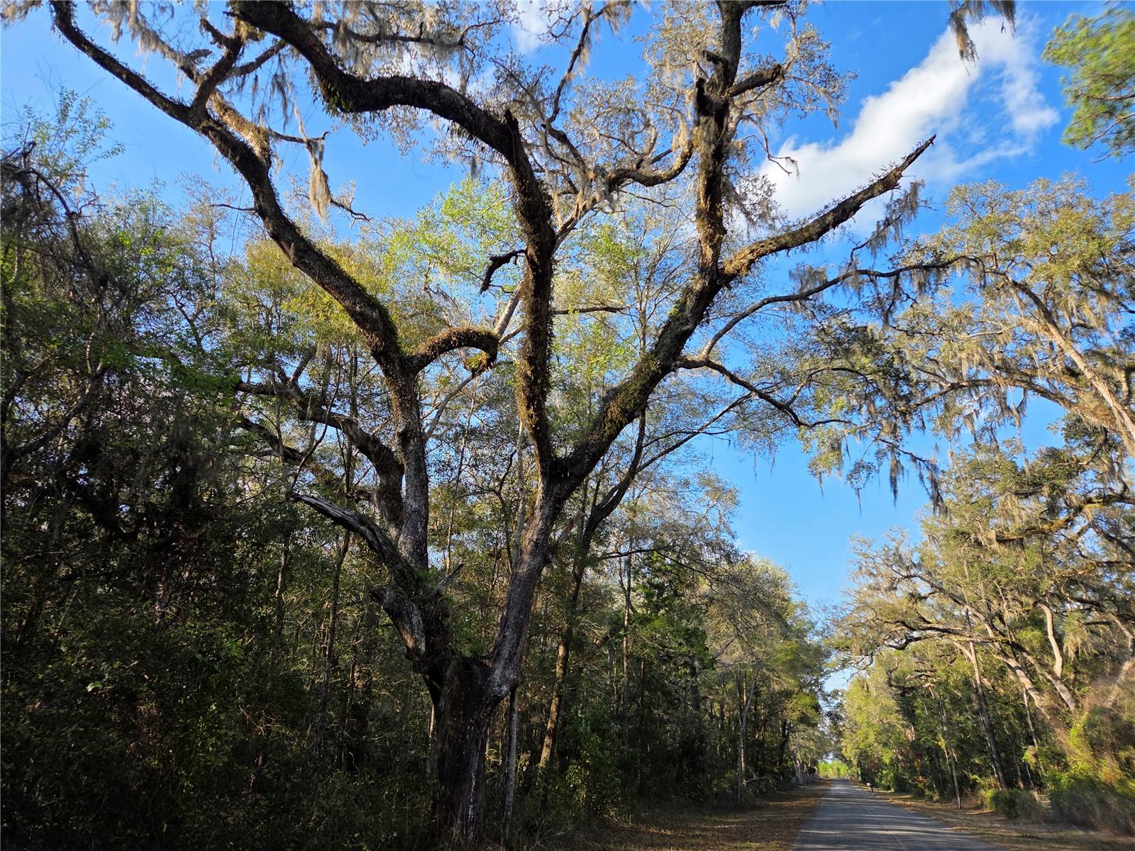 LYNN OAKS UNIT 2 - Land