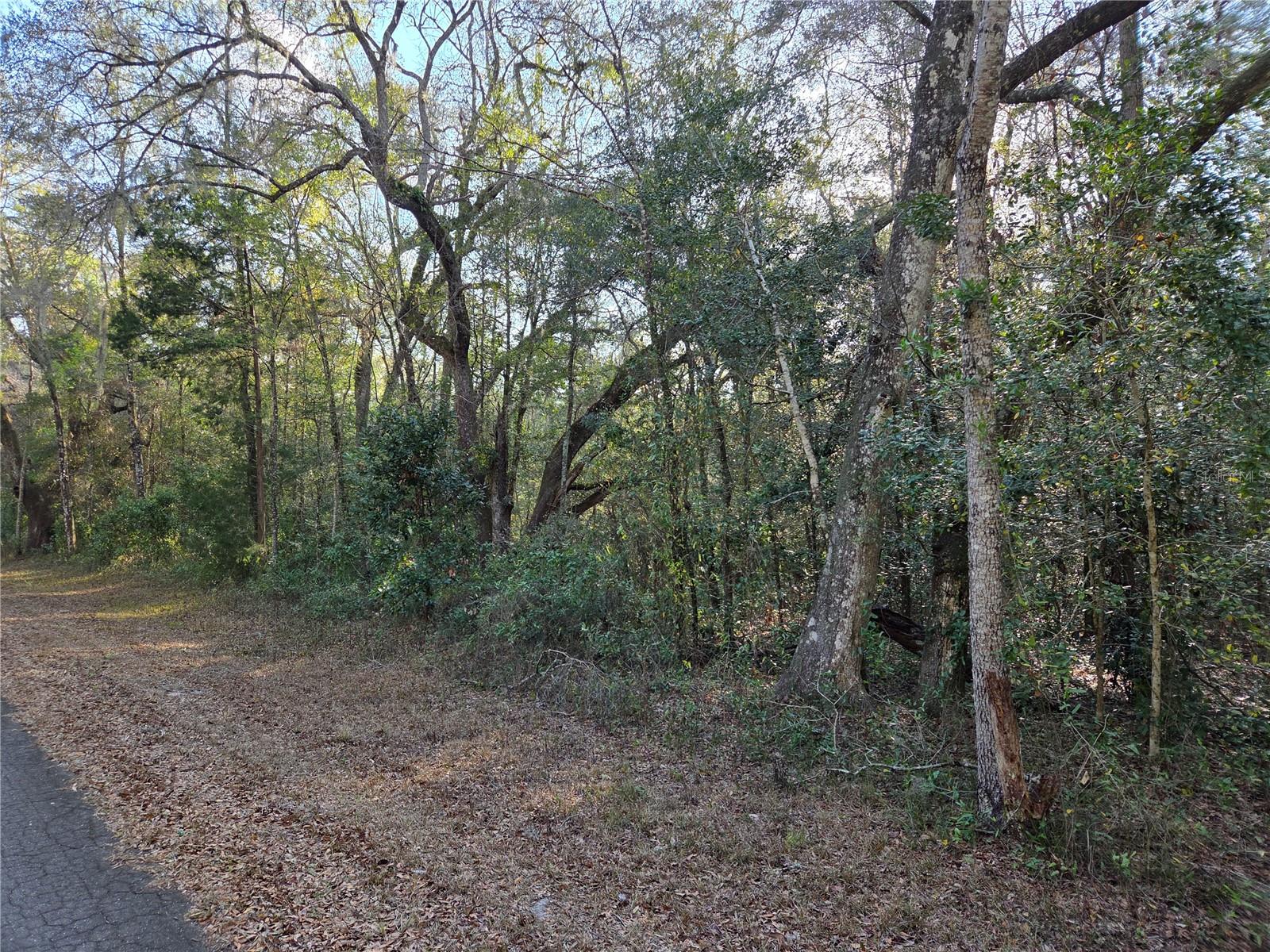 LYNN OAKS UNIT 2 - Land