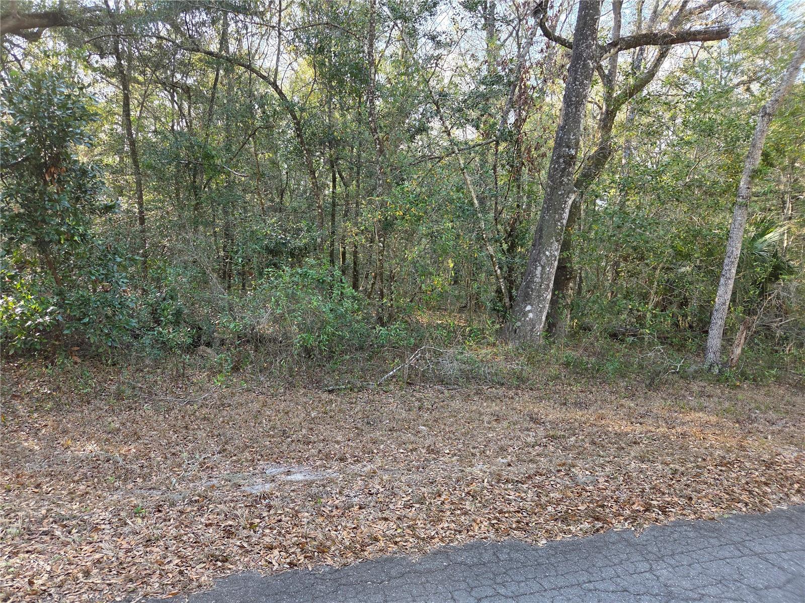 LYNN OAKS UNIT 2 - Land