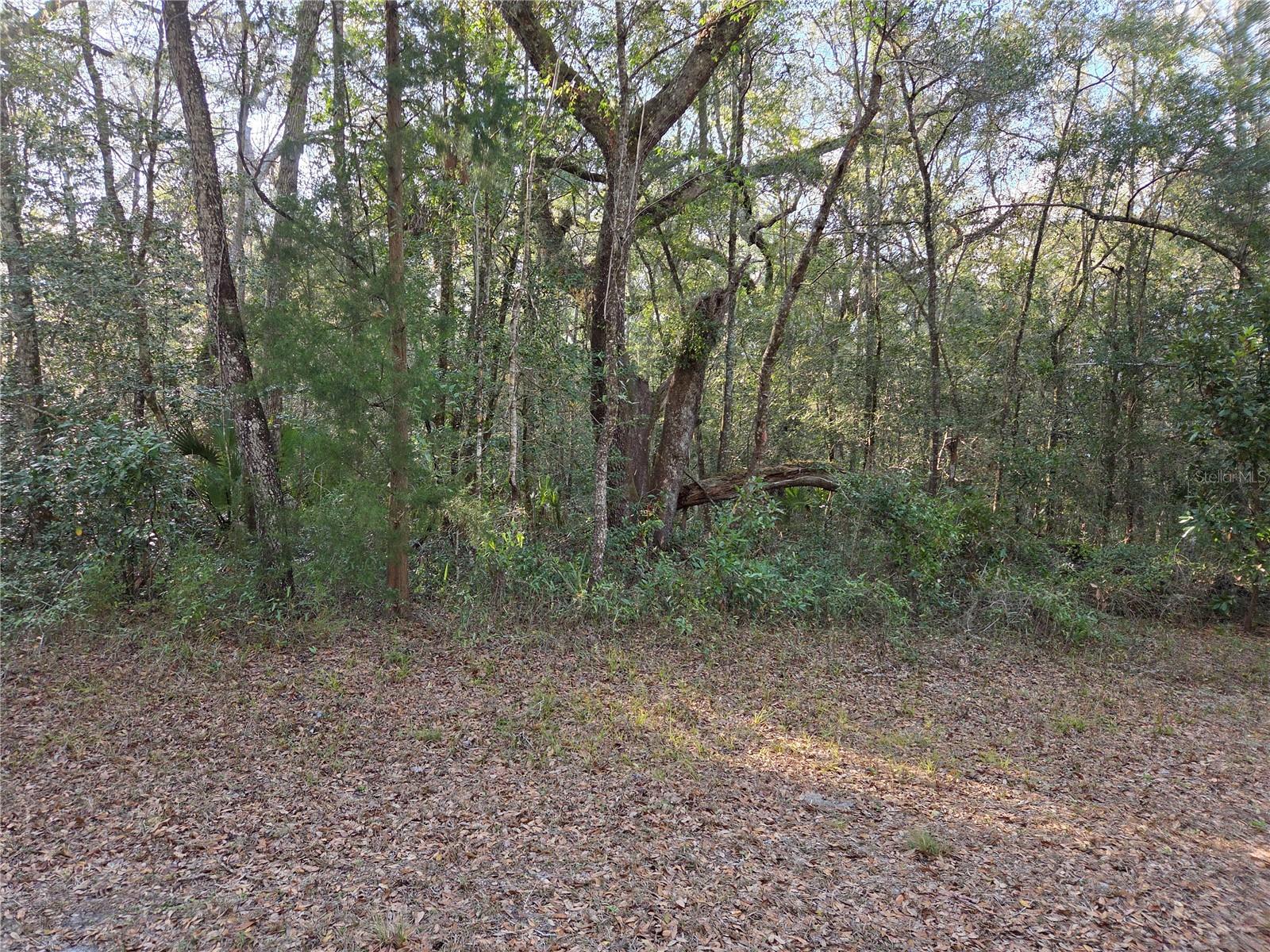 LYNN OAKS UNIT 2 - Land