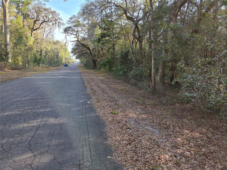 BEAUTIFUL 4.57 ACRES JUST OFF NE HWY 41..ALL ON THE PAVED ROAD. Offering a prime opportunity to build your dream home or place a manufactured home in a peaceful rural setting. The magnificent oak and pine trees make this the perfect get away or private location to live a peaceful life.  This spacious parcel provides plenty of room for privacy, outdoor living, gardening, or future expansion, all with no HOA and no strict building timeline. Parcel measures about 331.62 on the front road. This property offers convenient access to downtown Williston, shopping, dining, and local schools, while still enjoying the quiet charm of Levy County countryside. Well and septic will be needed, making this an ideal choice for buyers seeking flexibility, affordability, and long-term value in a growing area of North Central Florida. Also, within 20 to 30 minutes to Gainesville, Ocala and Cedar Key for boating and fishing.  Also, for horse enthusiasts WEC, HITS and Black Prong Equestrian Village are within 30 minutes for all of your horse events.  There is a small portion of flood zone AE on the front part of the property but plenty of space in the back and sides to have a building or manufactured home.  A Great Affordable Price on a paved road!!