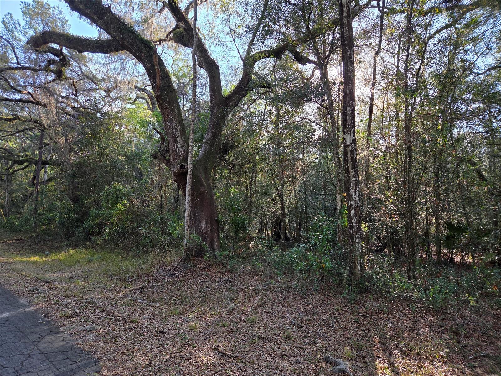 LYNN OAKS UNIT 2 - Land