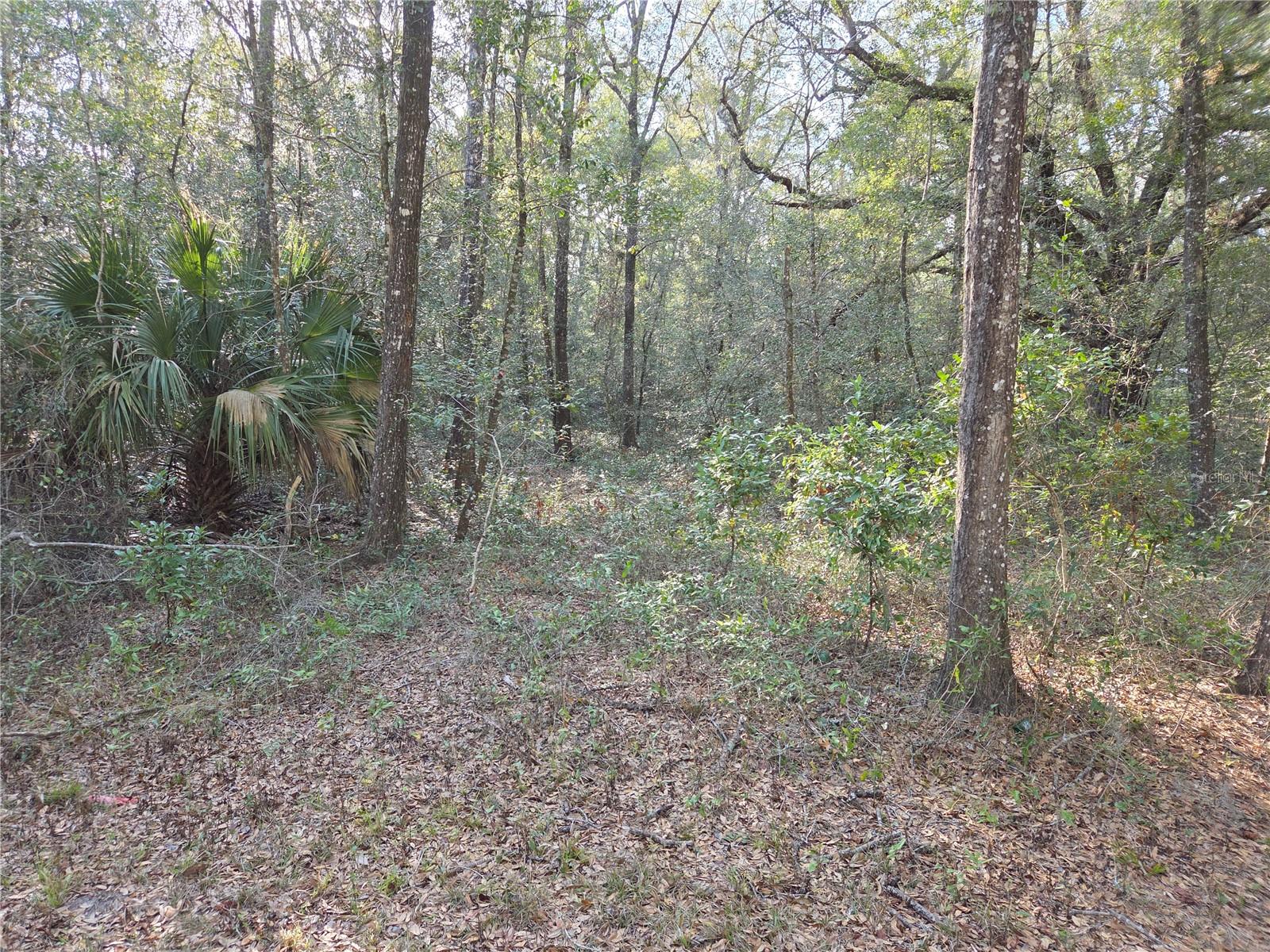 LYNN OAKS UNIT 2 - Land