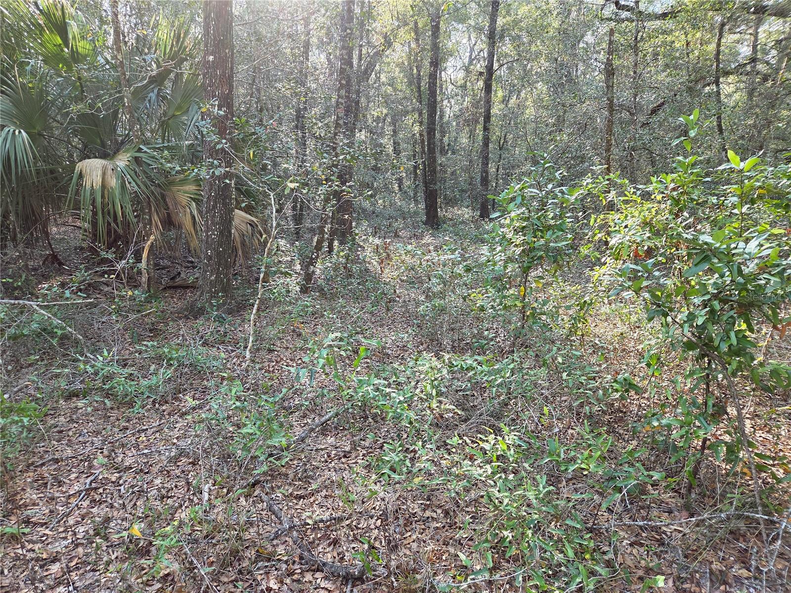 LYNN OAKS UNIT 2 - Land