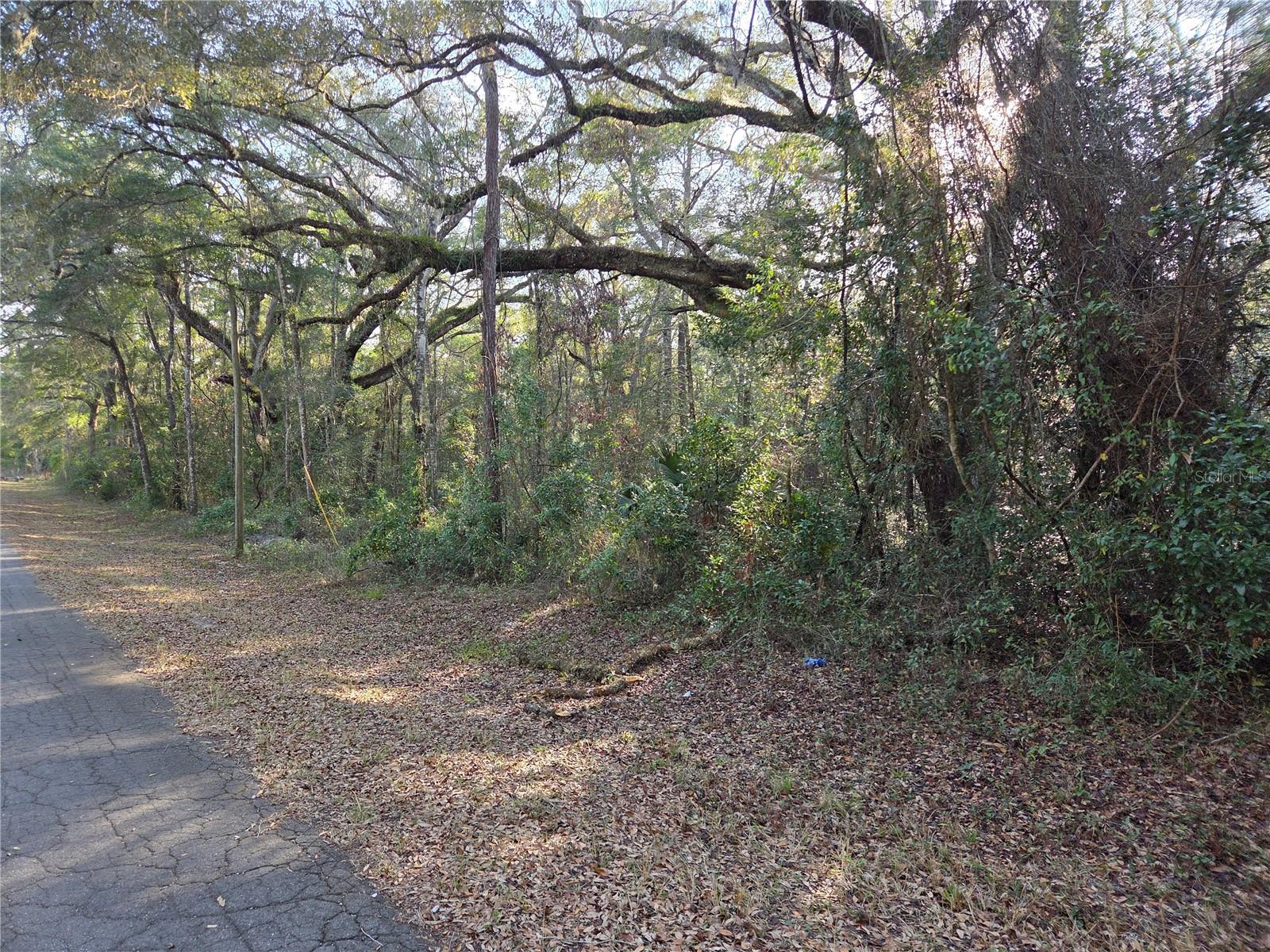 LYNN OAKS UNIT 2 - Land