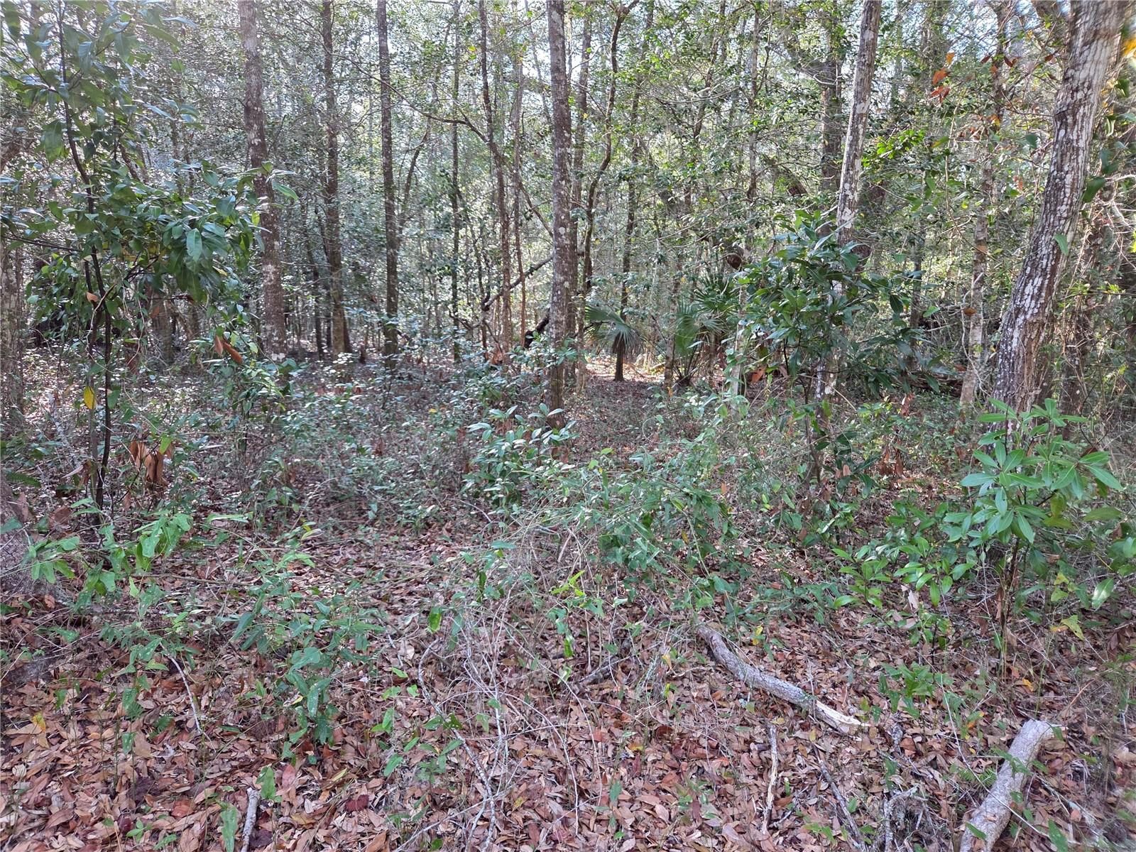 LYNN OAKS UNIT 2 - Land