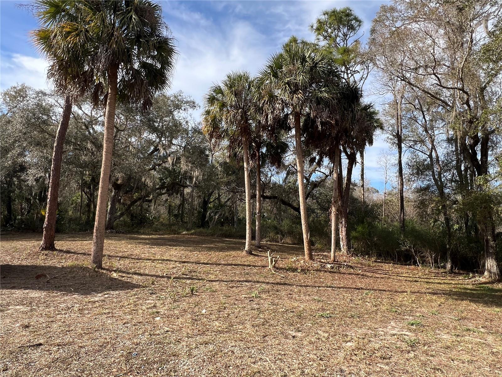 GREENWOOD ACRES 1ST ADD - Residential