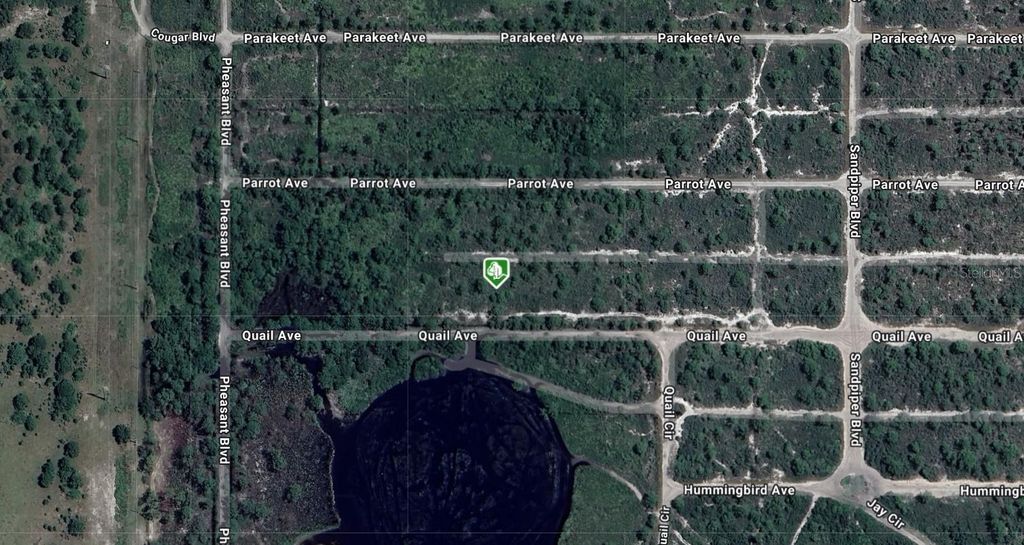 Photo of 732 Quail Avenue, Sebring, FL 33870 (MLS # A4691745)