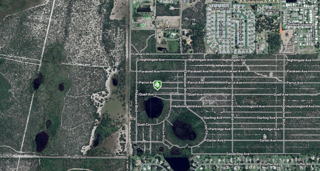 Photo of 732 Quail Avenue, Sebring, FL 33870 (MLS # A4691745)