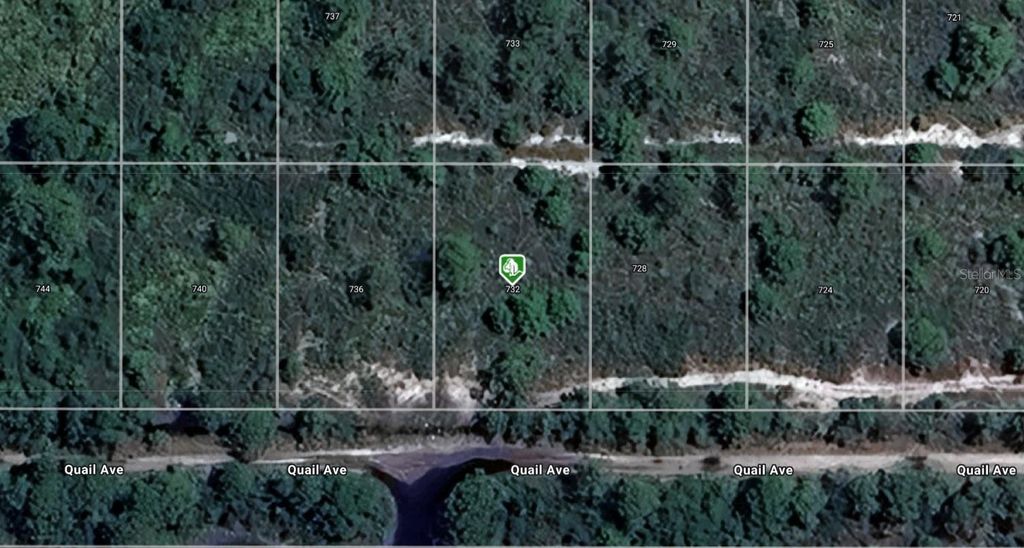 Photo of 732 Quail Avenue, Sebring, FL 33870 (MLS # A4691745)