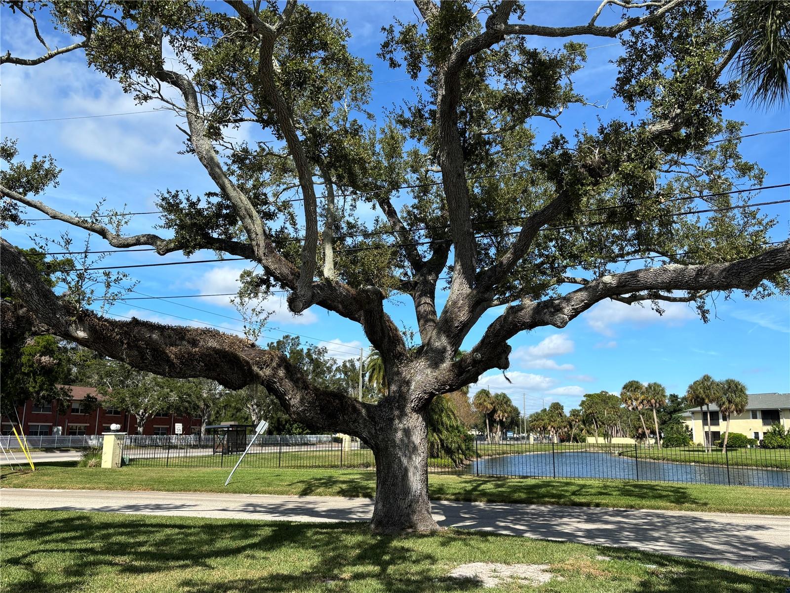 MAXIMO WOODS UNIT ONE - Residential Lease