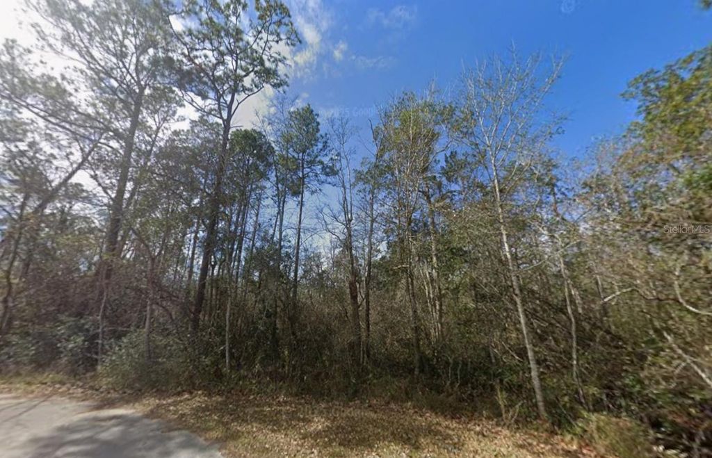 Photo of 3200 Stefani Road, Cantonment, FL 32533 (MLS # O6365685)