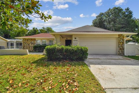 A home in LAND O LAKES