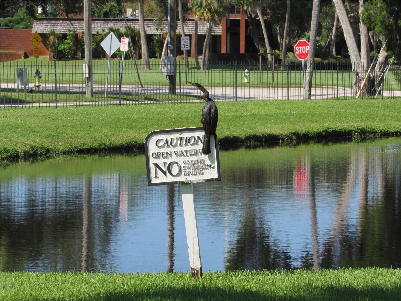 ARBOR GROVE CONDO - Residential