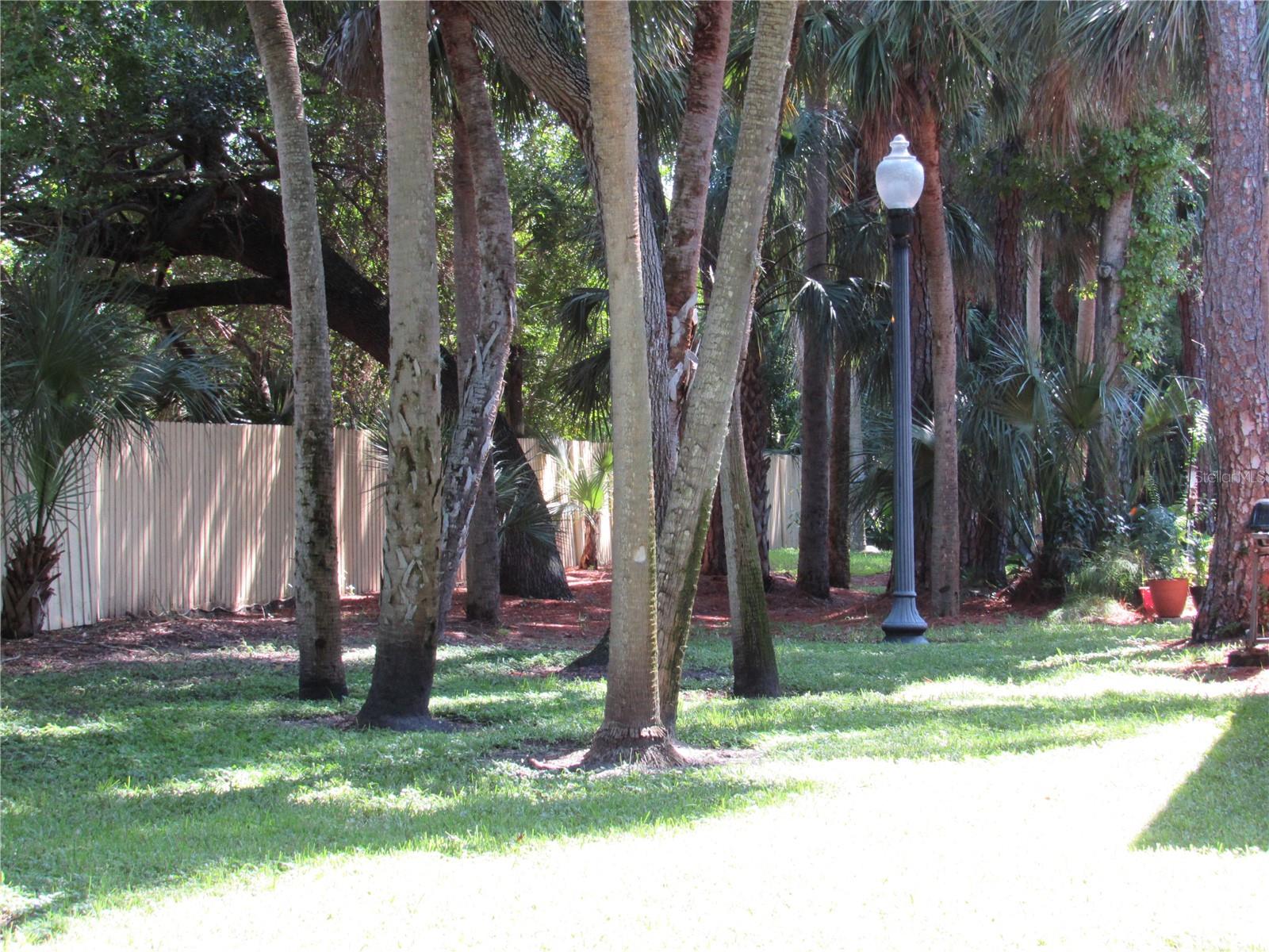 ARBOR GROVE CONDO - Residential