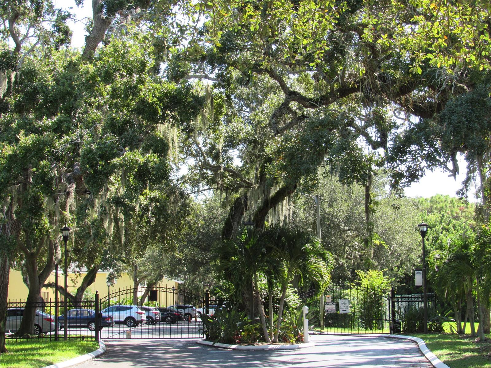 ARBOR GROVE CONDO - Residential