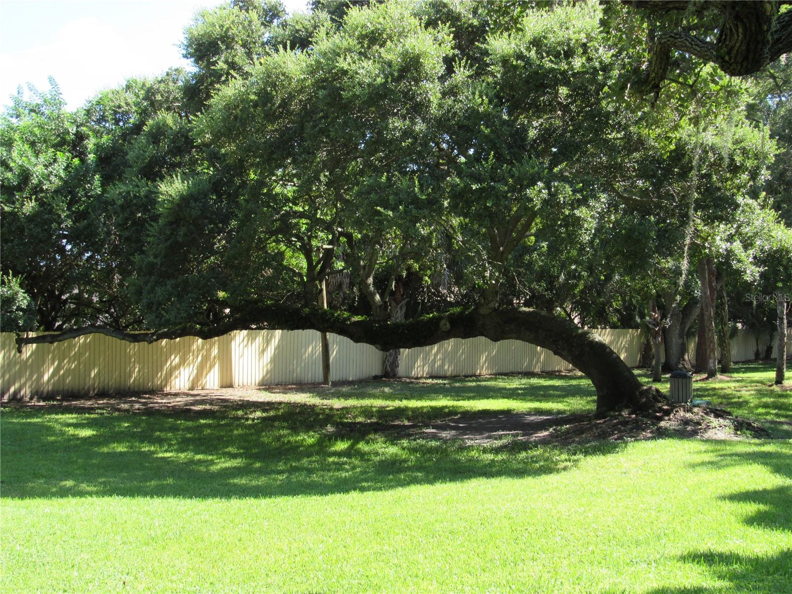 ARBOR GROVE CONDO - Residential