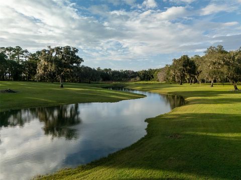 Tiny photo for 9481 W Highway 316, Reddick, FL 32686 (MLS # OM713781)