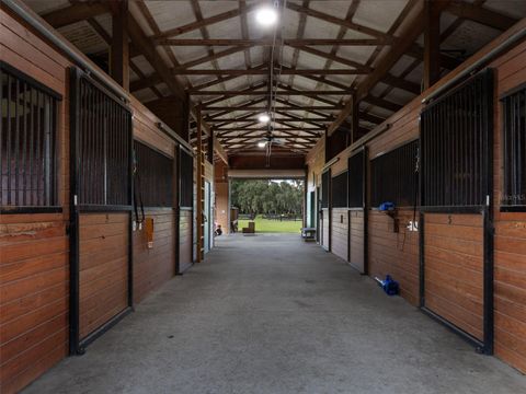 Tiny photo for 9481 W Highway 316, Reddick, FL 32686 (MLS # OM713781)