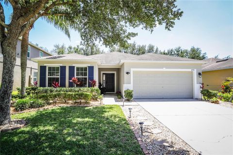 4793 GRASSY KNOLL DRIVE TAVARES FL 32778