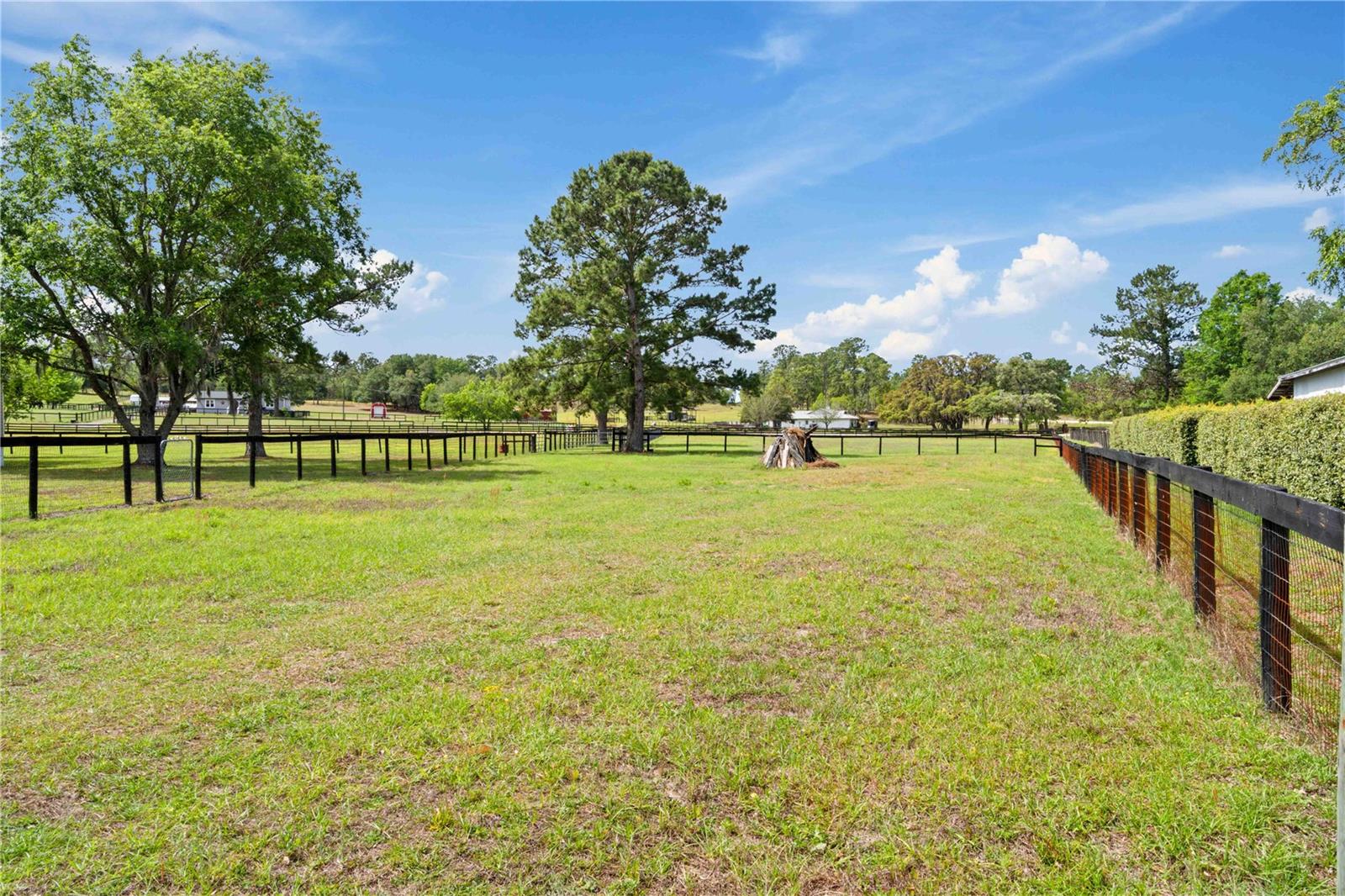 TRIPLE CROWN FARMS - Residential