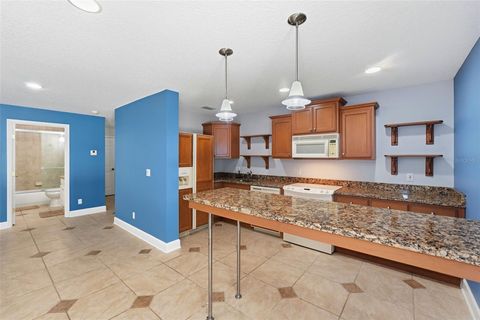 Tiny photo for 580 W 10th Avenue, Mount Dora, FL 32757 (MLS # O6358920)