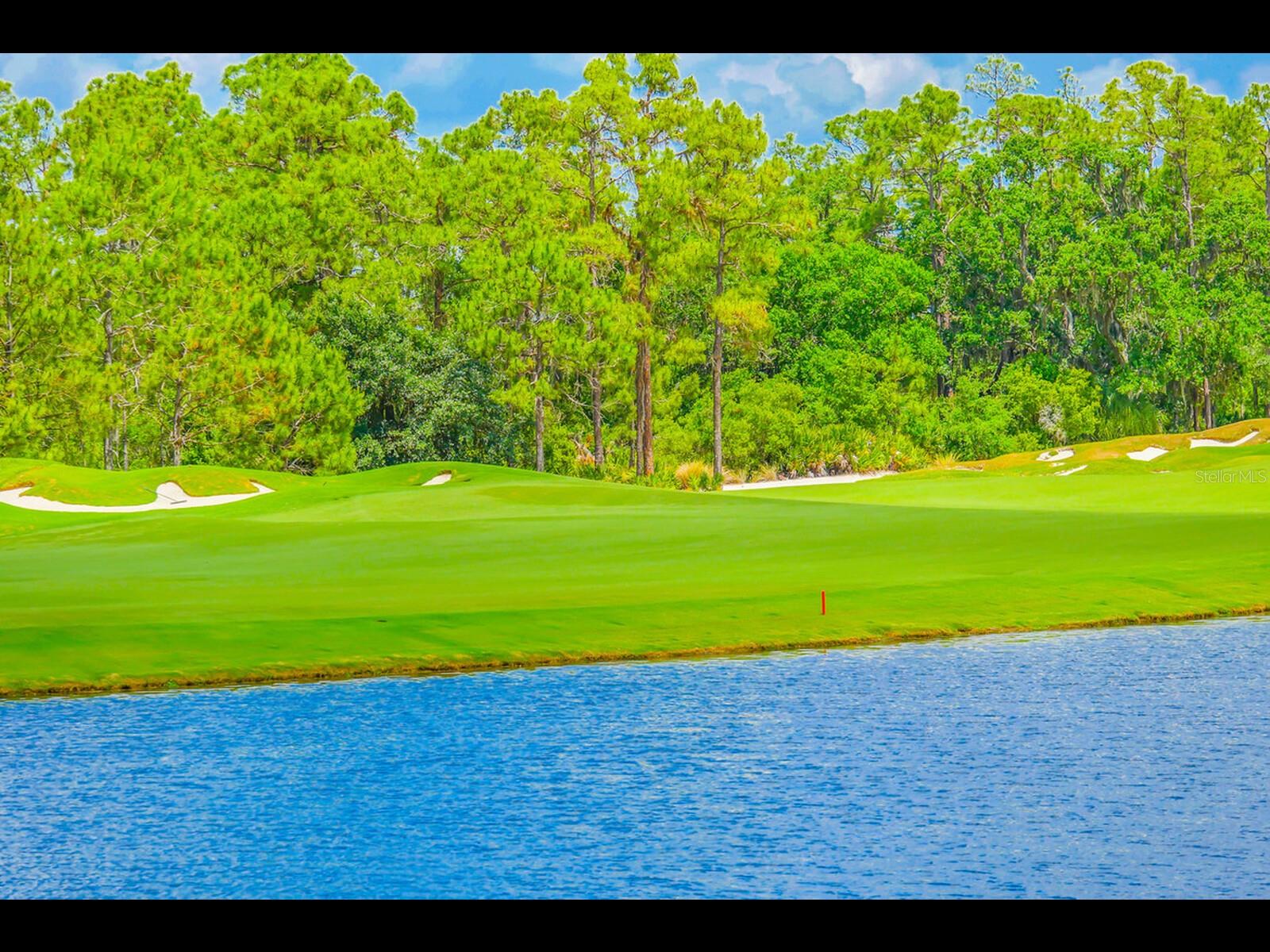 CONCESSION PH II BLK A - Land