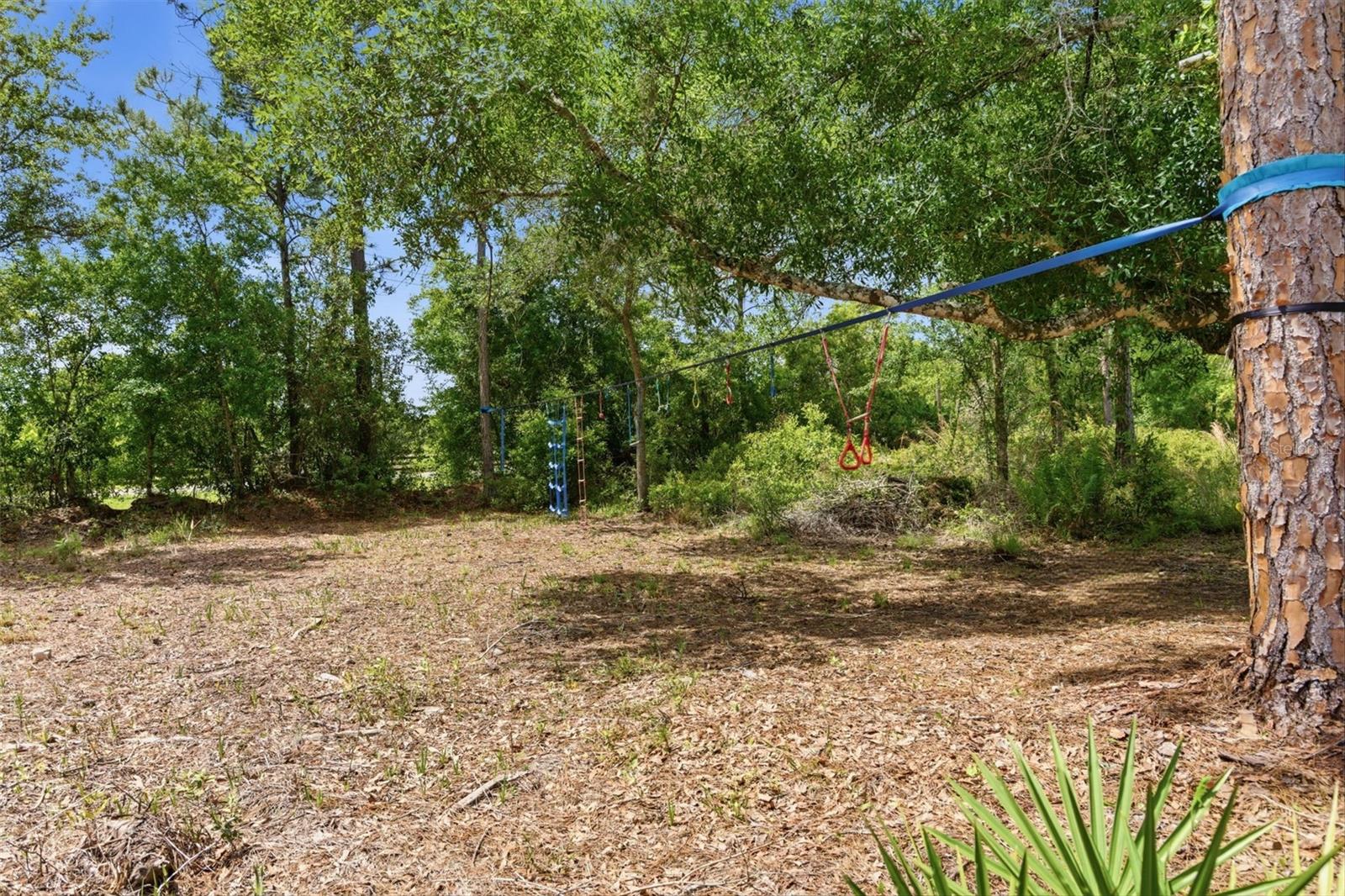 ROCKET CITYA - Residential