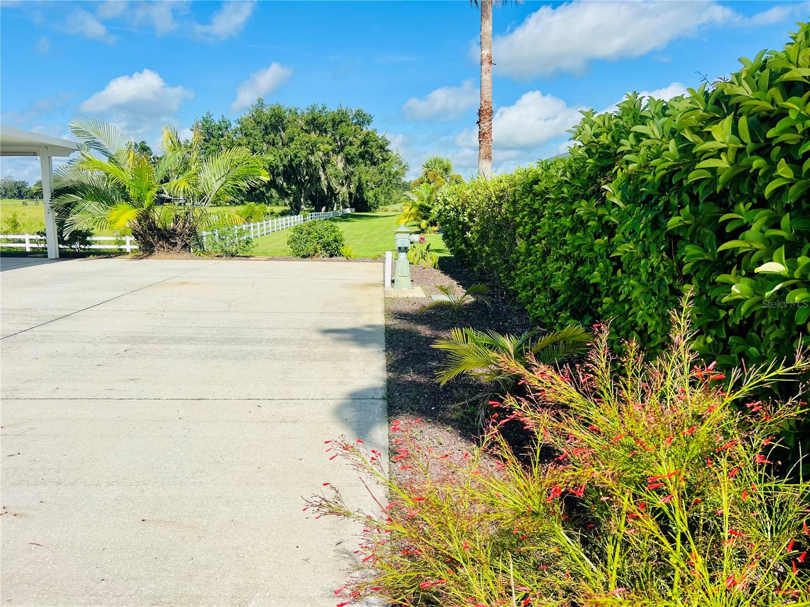 FLORIDA GRANDE MOTOR COACH RESIDENCE - Land