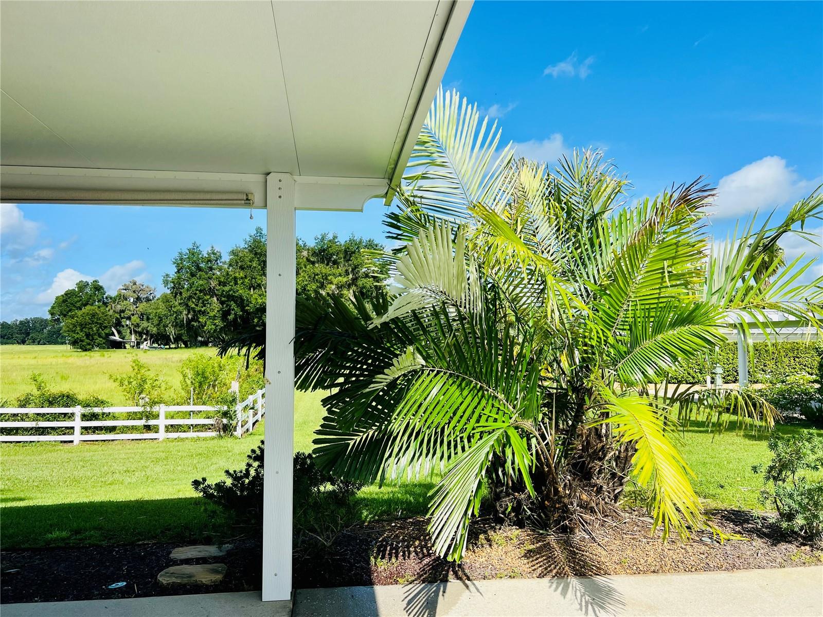 FLORIDA GRANDE MOTOR COACH RESIDENCE - Land