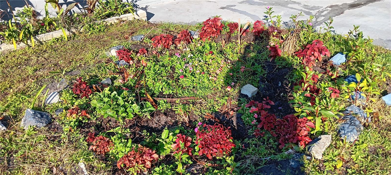 BREEZY ACRES - Residential