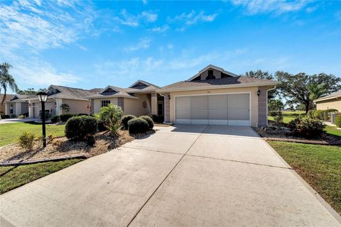 A home in SUN CITY CENTER