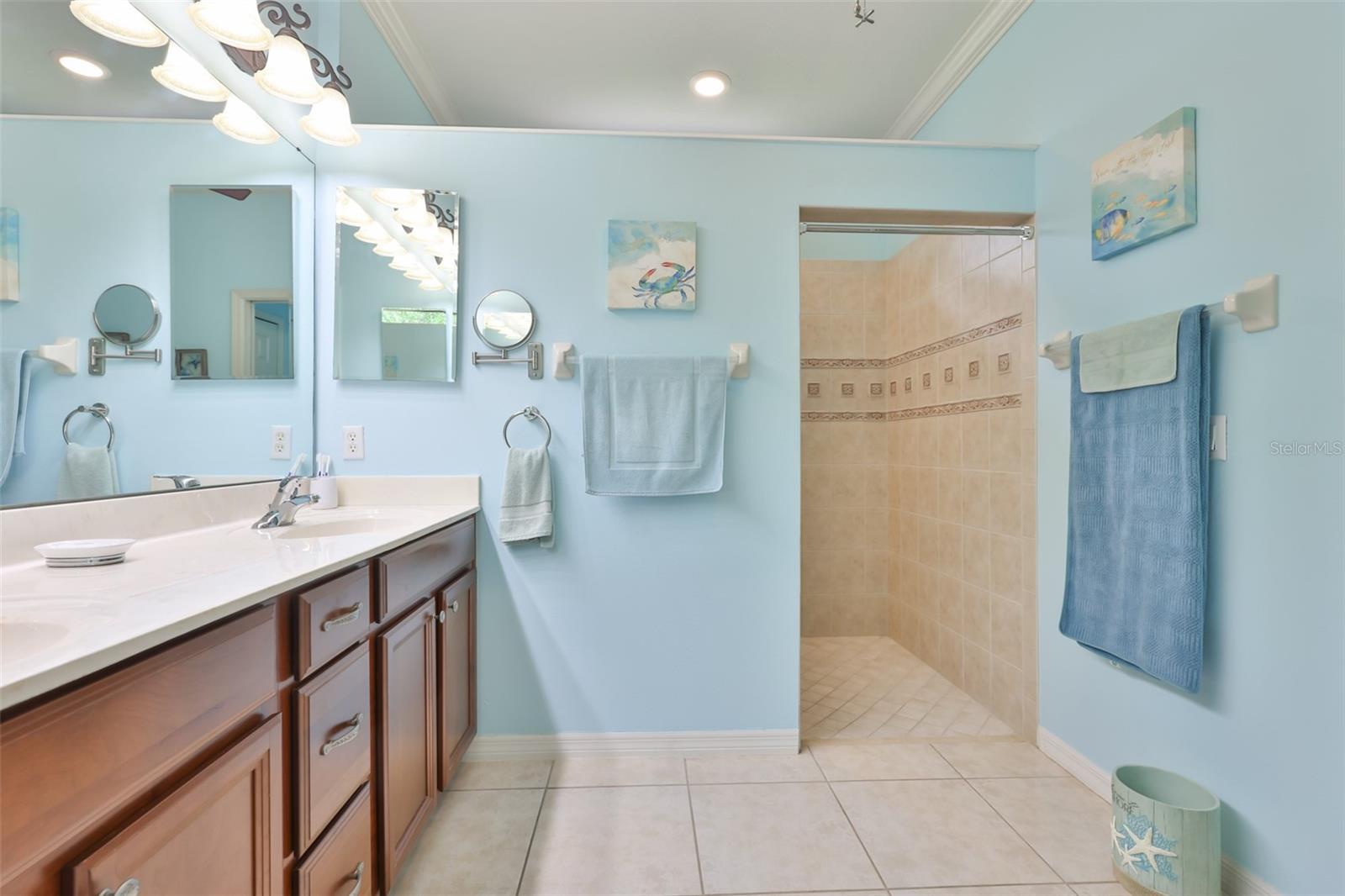 SOUTHSHORE FALLS PH 1 - Residential