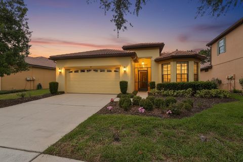 Photo of 147 Silver Falls Drive, Apollo Beach, FL 33572 (MLS # TB8509109)