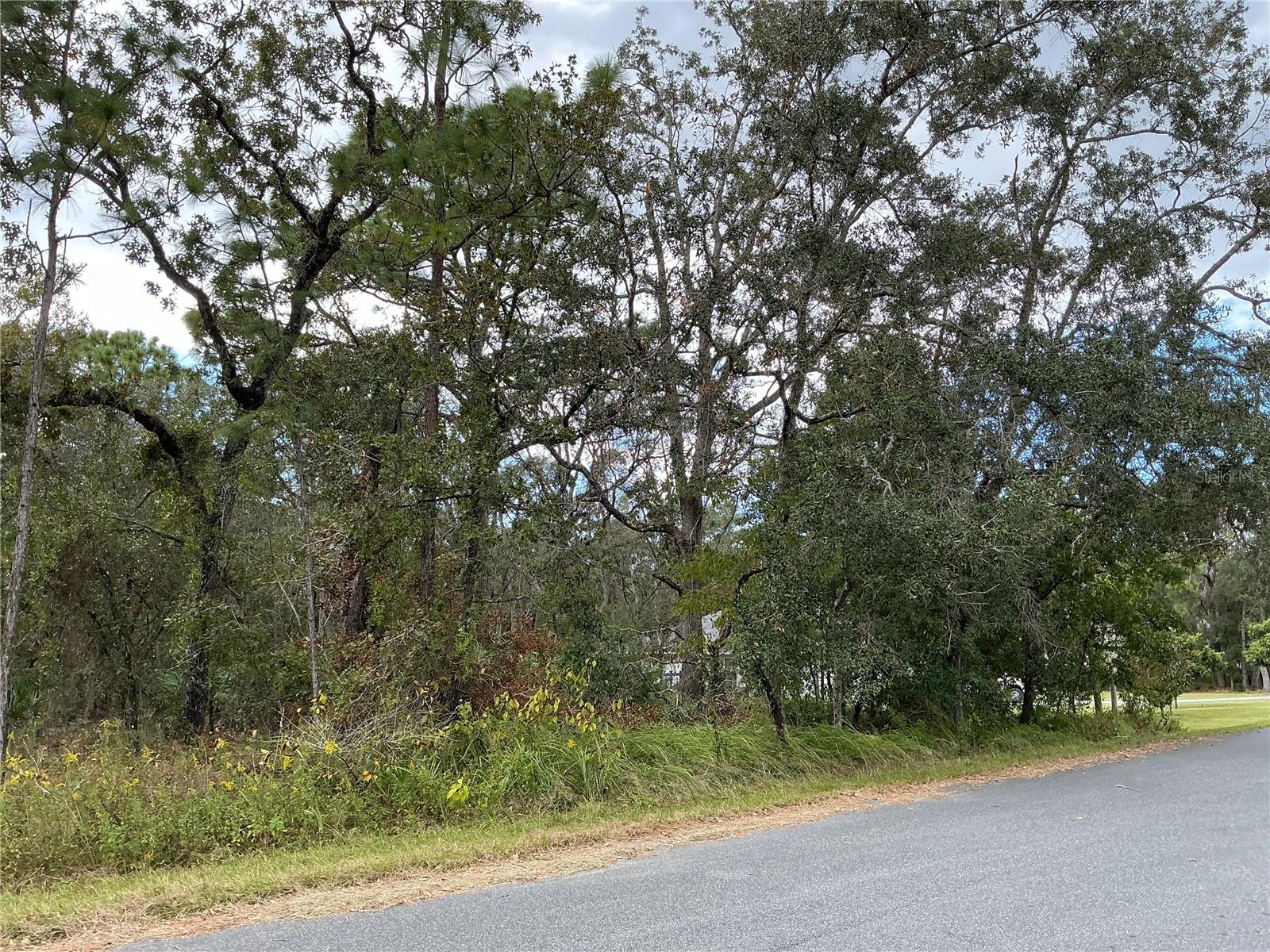 ROYAL HIGHLANDS UNIT 4 - Land