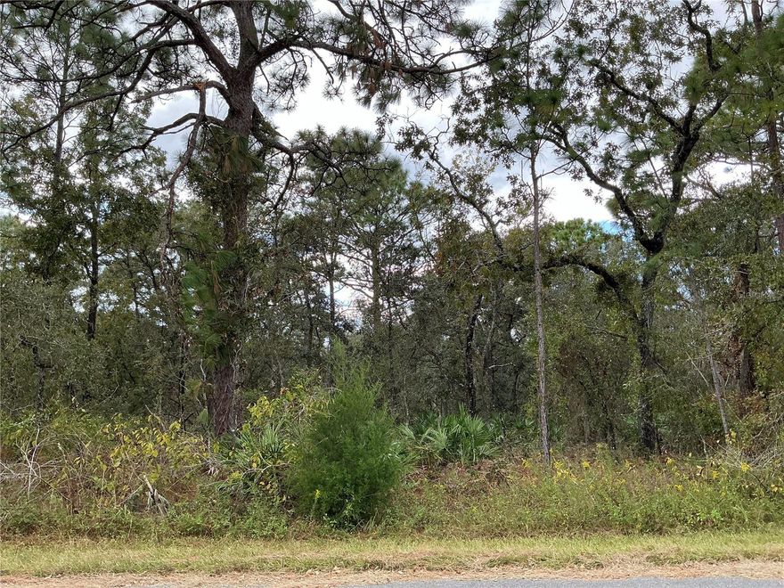 Situated in the heart of Weeki Wachee, this 1.19 ACRE lot measures 185 by 305 feet, located outside the flood zone, with no wetlands and no endangered species, this lot is shovel-ready and primed for development. Royal Highlands - Get off the grid and live in Weeki Wachee. Rural setting yet close enough to Spring Hill and Tampa via the Suncoast Hwy. Lots of new construction in the Royal Highlands subdivision, which is not in an HOA. Power, cable and internet are available. Down the street from Weeki Wachee Springs State Park where you can attend Swampfest or paddle scenic waterways. Only 10 minutes to the award winning World Woods Golf Club by Tom Fazio. 20 minutes to Withlacoochee State Forest that has 2600 acres of ATV riding trails. Royal Highlands is also an easy commute to nearby cities, just over an hour north of Tampa, 1.5 hours west of Orlando, and one hour from Ocala.